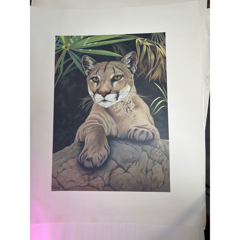 Vintage Tykie Cougar Wildlife Art Print Poster Unisex 30.5x24.5 Multicolor Exc